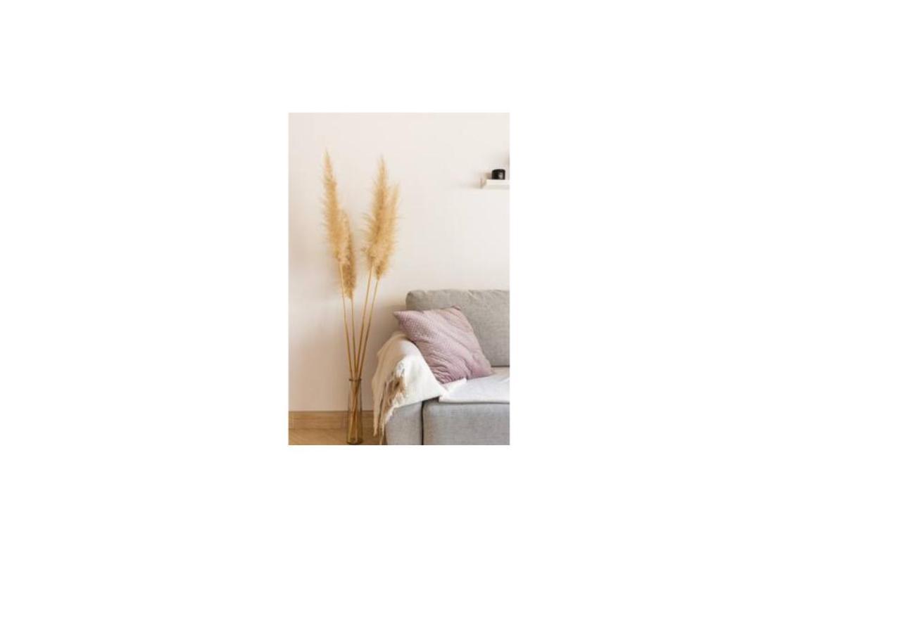 Mareno Apartment *